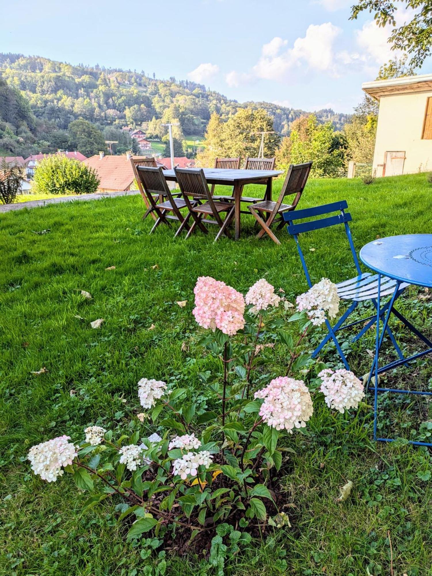 Le Renard Des Vosges Villa La Croix-aux-Mines Dış mekan fotoğraf